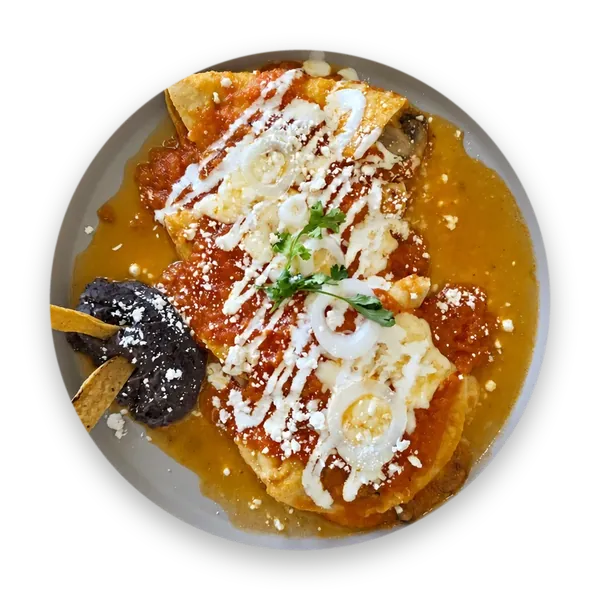 Enchiladas caseras recién servidas en EDEN